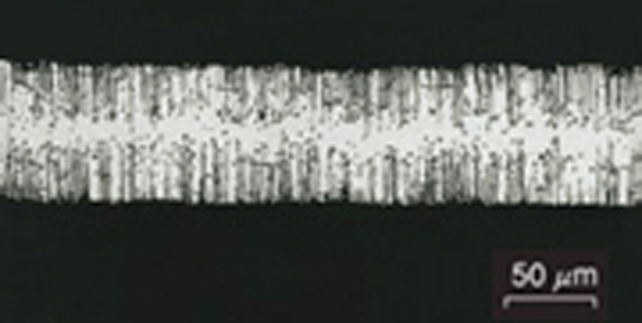 Image of Cross-section of high-voltage, aluminum electrolytic capacitor electrode foil