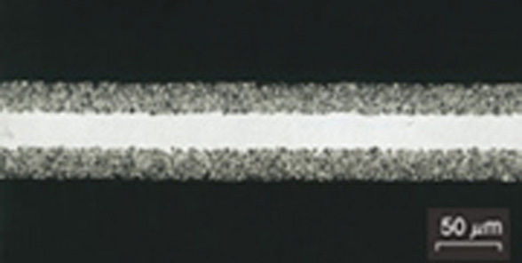 Image of Cross-section of low-voltage, aluminum electrolytic capacitor electrode foil